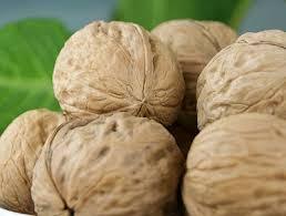 انجیر سیاه - Image 4