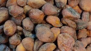 انجیر سیاه - Image 3